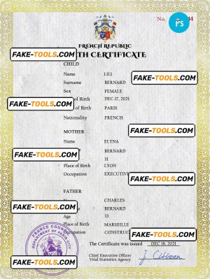 France vital record birth certificate PSD template, completely editable