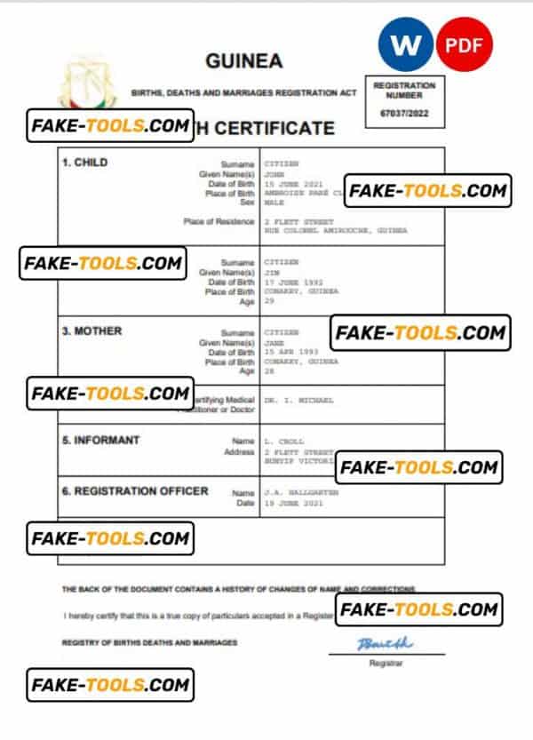 Guinea vital record birth certificate Word and PDF template, completely editable