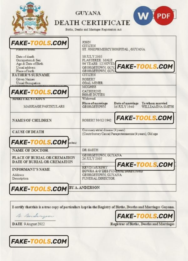 Guyana death certificate Word and PDF template, completely editable