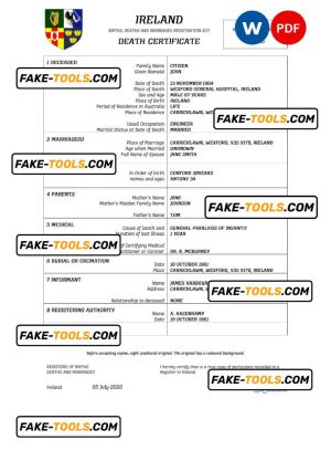 Ireland vital record death certificate Word and PDF template