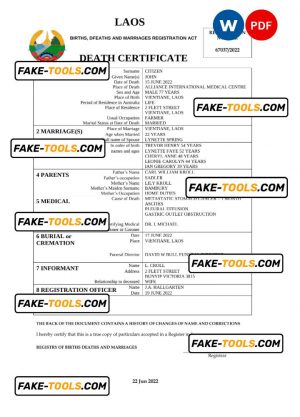 Laos vital record death certificate Word and PDF template