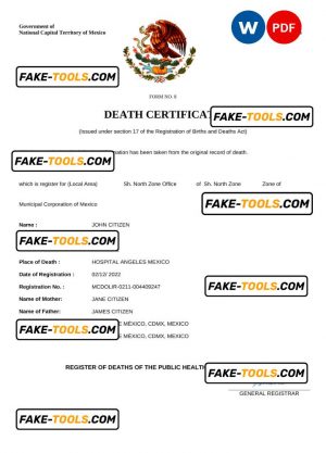 Mexico vital record death certificate Word and PDF template