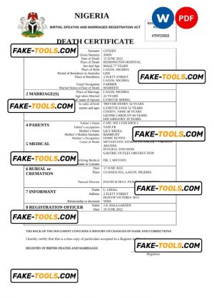 Nigeria vital record death certificate Word and PDF template