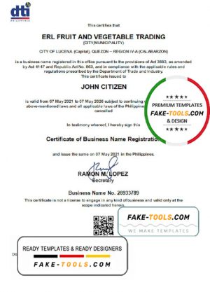 Philippines Department of Trade and Industry (DTI) private entrepreneur certificate template in Word and PDF format