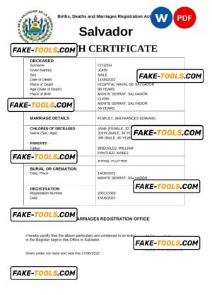Salvador vital record death certificate Word and PDF template