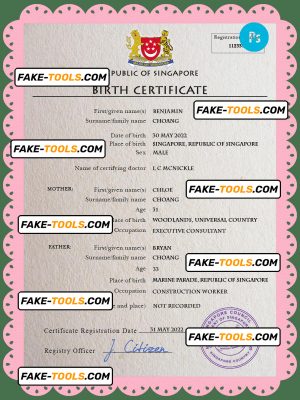 Singapore vital record birth certificate PSD template