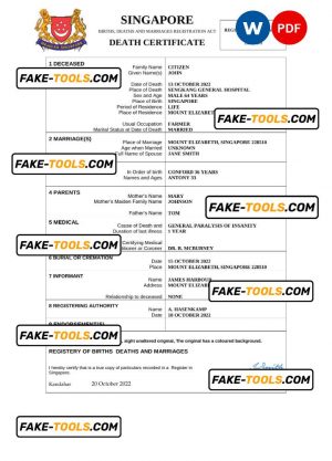Singapore vital record death certificate Word and PDF template