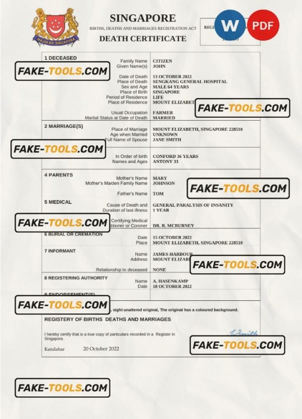 Singapore vital record death certificate Word and PDF template