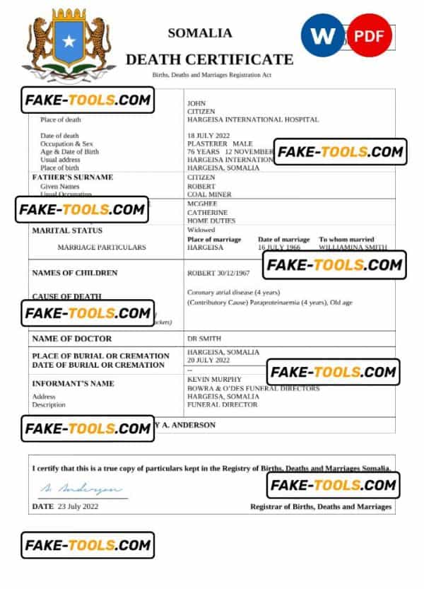 Somalia vital record death certificate Word and PDF template