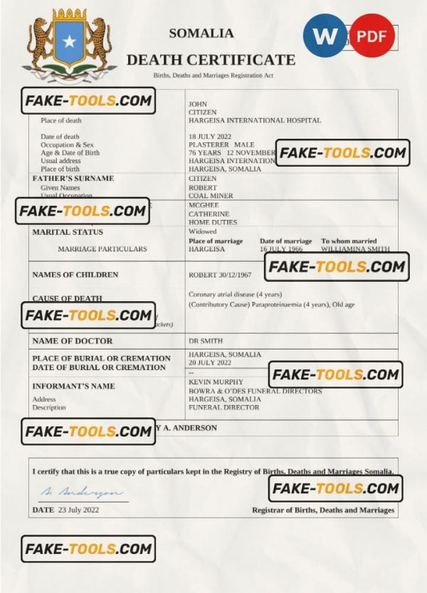 Somalia vital record death certificate Word and PDF template
