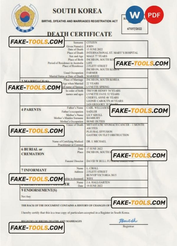 South Korea vital record death certificate Word and PDF template