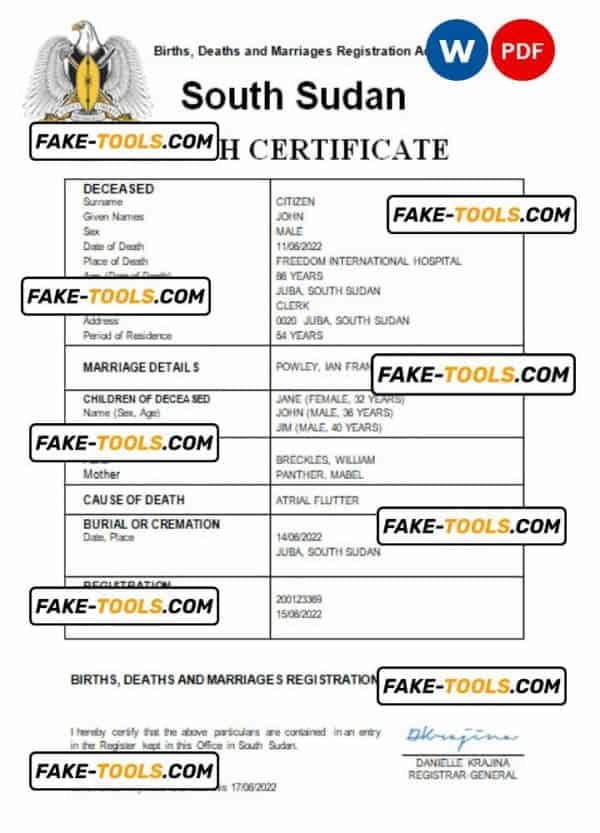 South Sudan vital record death certificate Word and PDF template