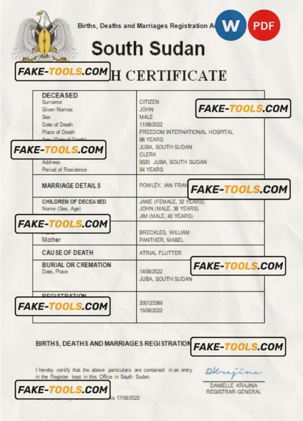 South Sudan vital record death certificate Word and PDF template