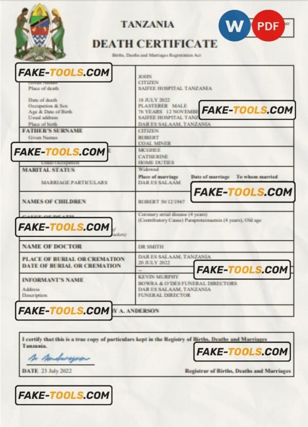 Tanzania vital record death certificate Word and PDF template