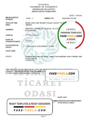 Turkey Istanbul Certificate of Activity template in Word and PDF format