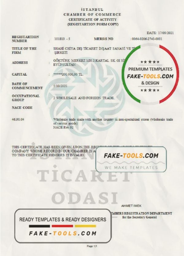 Turkey Istanbul Certificate of Activity template in Word and PDF format