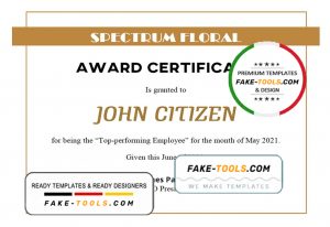 USA Award Certificate template in Word and PDF format