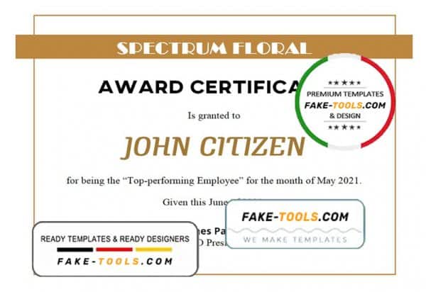 USA Award Certificate template in Word and PDF format
