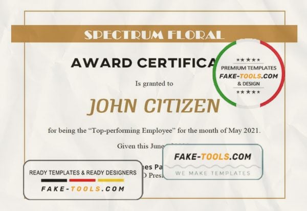 USA Award Certificate template in Word and PDF format