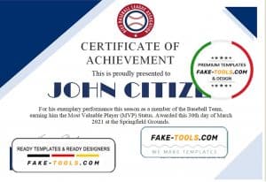 USA Basketball Participation Certificate template in Word and PDF format