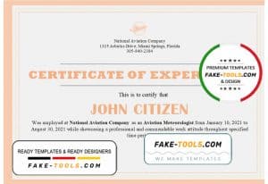 USA Company Experience Certificate template in Word and PDF format