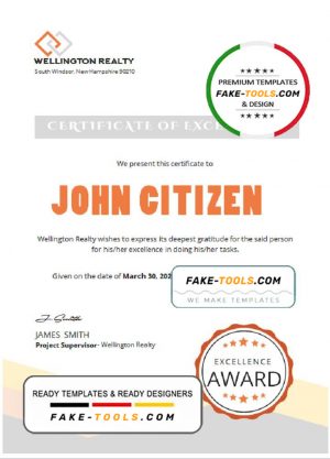 USA Excellence certificate template in Word and PDF format, version 2