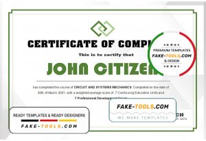 USA Experience Certificate template in Word and PDF format