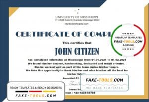 USA Internship certificate template in Word and PDF format