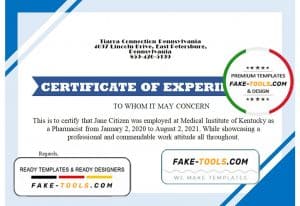 USA Job Experience certificate template in Word and PDF format, version 2