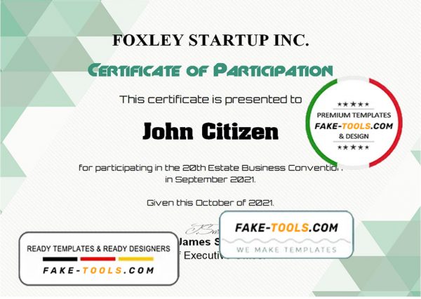 USA Participation certificate template in Word and PDF format