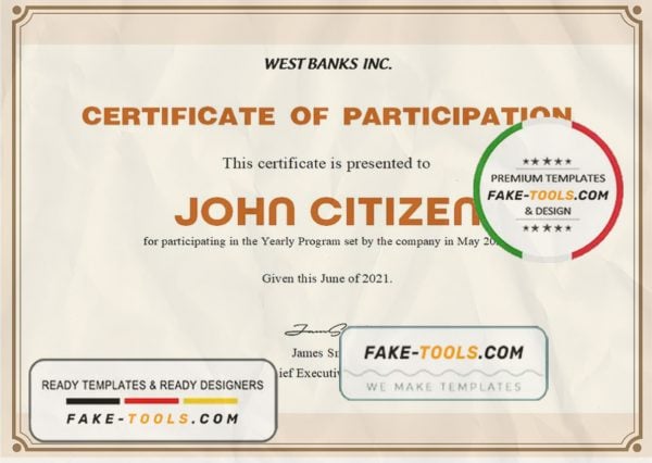 USA Participation certificate template in Word and PDF format, version 2