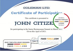 USA Program Participation certificate template in Word and PDF format