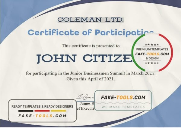 USA Program Participation certificate template in Word and PDF format