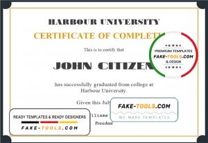 USA Recognition Certificate template in Word and PDF format