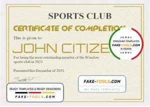 USA Recognition certificate template in Word and PDF format, version 3