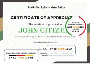 USA Softball certificate template in Word and PDF format
