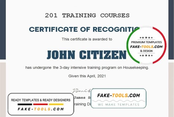 USA Training Course certificate template in Word and PDF format