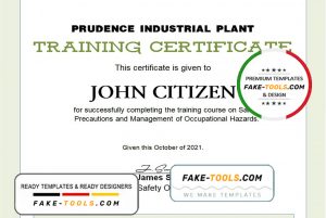 USA Training certificate template in Word and PDF format, version 2