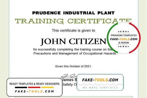 USA Training certificate template in Word and PDF format, version 2