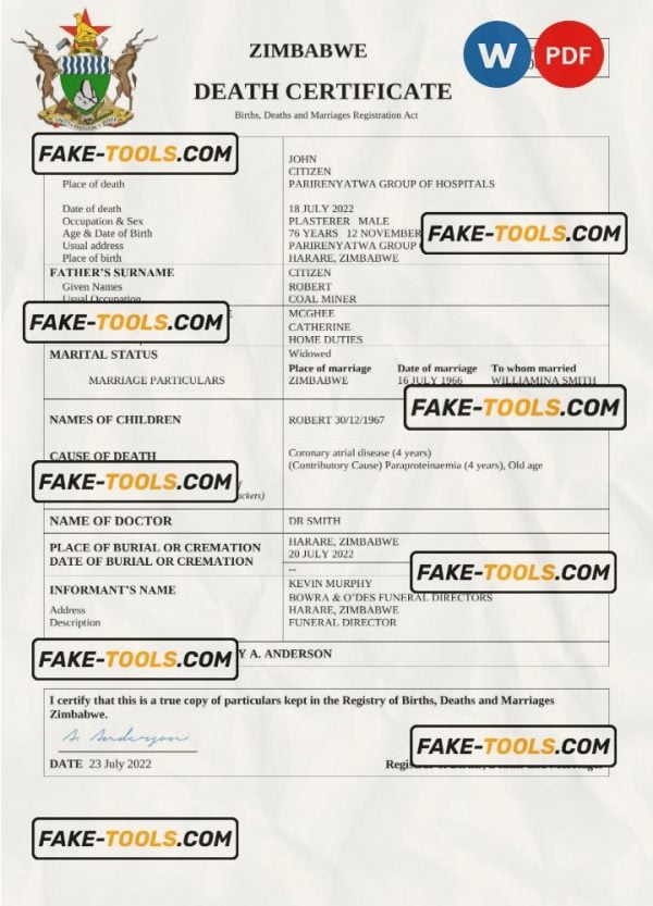 Zimbabwe vital record death certificate Word and PDF template
