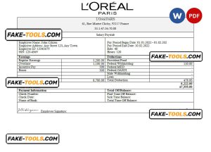France Loreal Paris cosmetic distributing company pay stub Word and PDF template