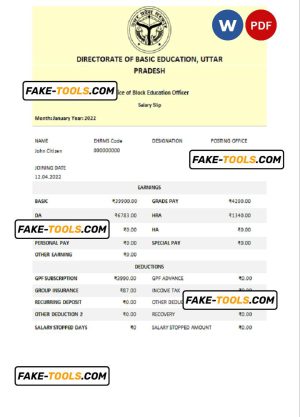 India Directorate of Basic Education Uttar Pradesh educational company pay stub Word and PDF template