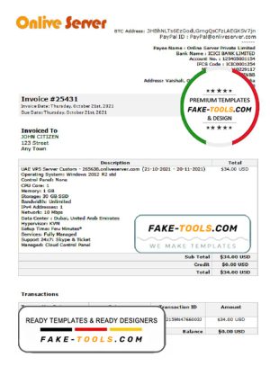 India Online Server company invoice template in Word and PDF format, fully editable