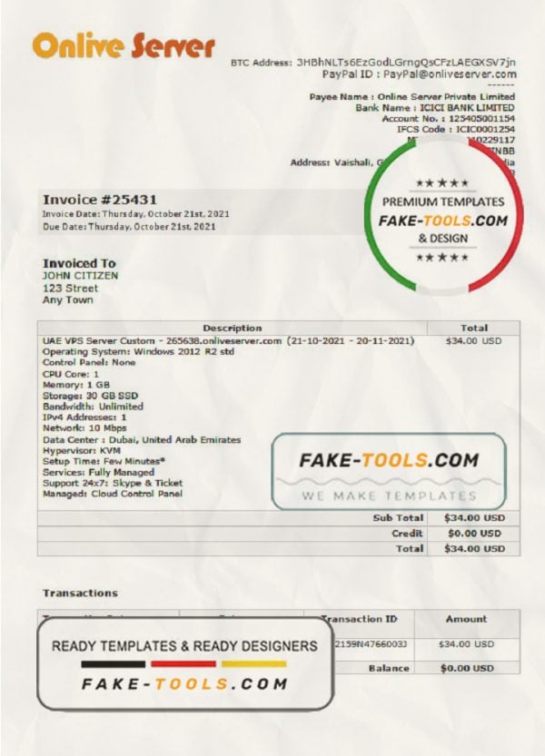 India Online Server company invoice template in Word and PDF format, fully editable