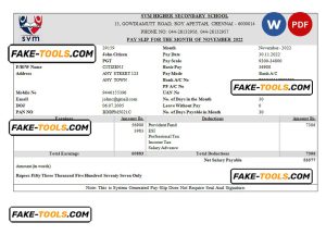India SVM HIGHER SECONDARY SCHOOL educational company pay stub Word and PDF template