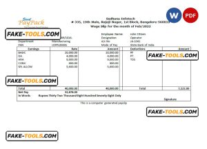 India Sadhana infotech pharmaceutical company pay stub Word and PDF template