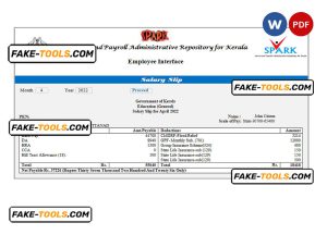 India Service and Payroll Administrative Repository for Kerala payroll company pay stub Word and PDF template