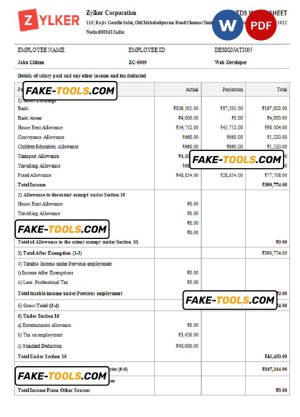 India Zylker Corporation software company pay stub Word and PDF template