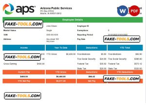 USA APS public services company pay stub Word and PDF template