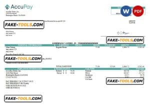 USA Accupay Demo Inc. payroll company pay stub Word and PDF template